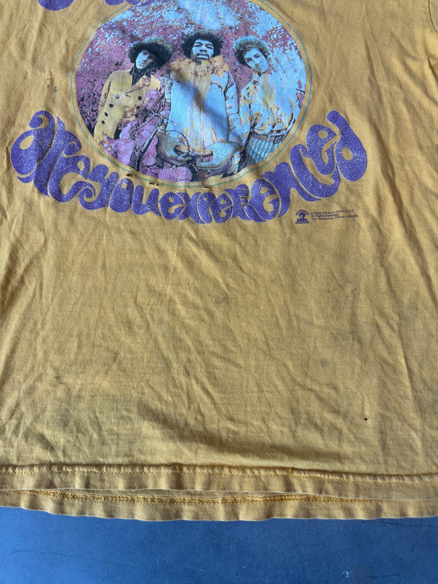 2002 The Jimi Hendrix Experience Heavily Distressed Zion Rootswear Faded Vintage Music Tee (Large)