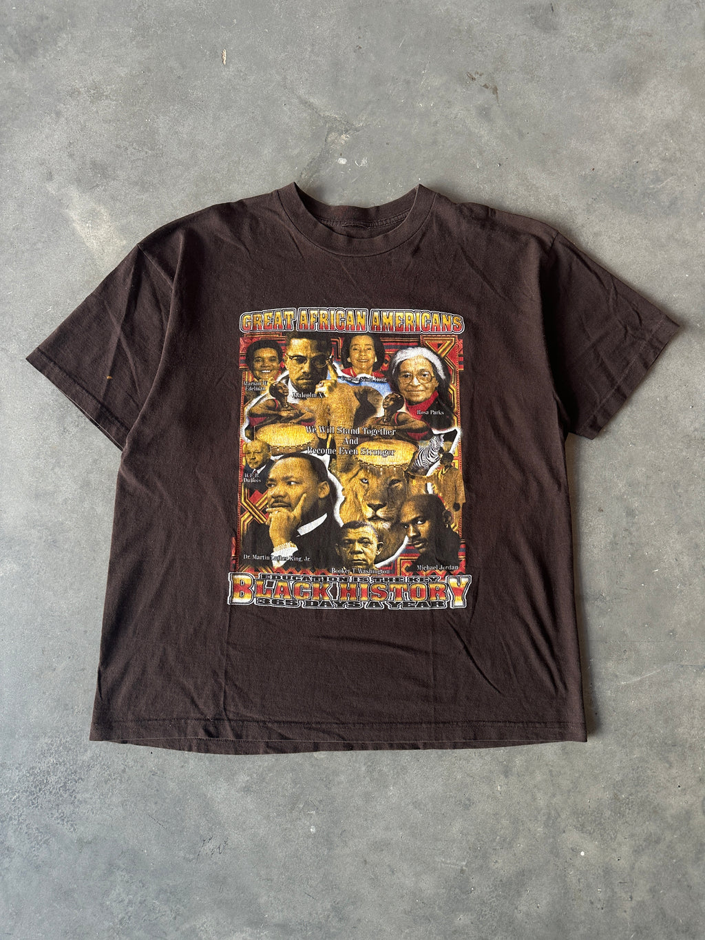 90's Great Africans Americans Black History 365 Days a Year Oprah Michael Jordan MLK Harriet Rosa Parks & More Brown Vintage Tee (XL)