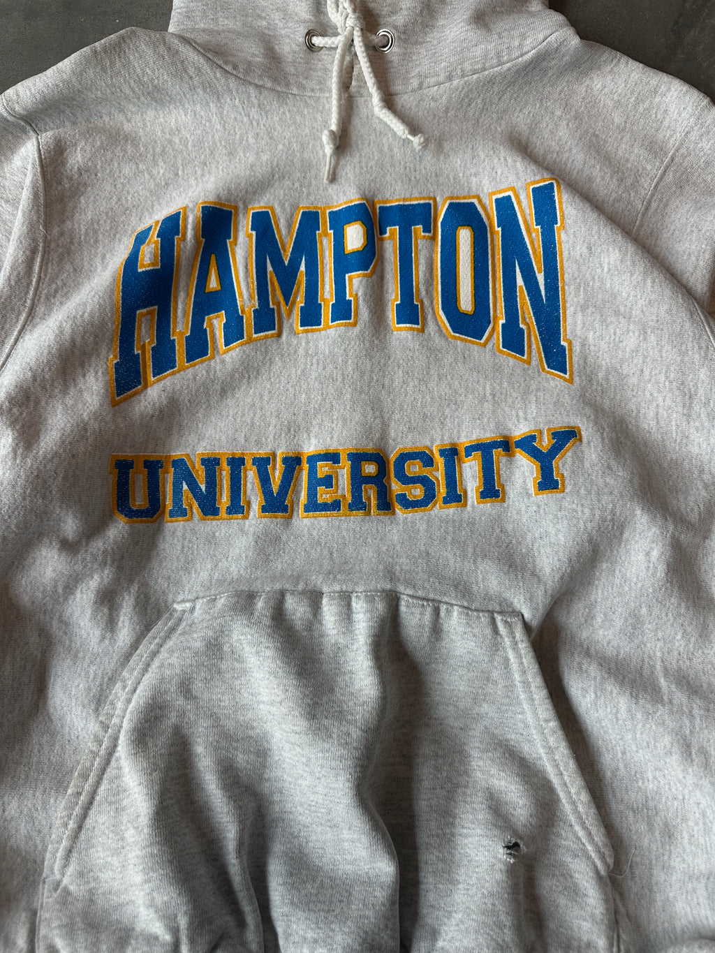 90’s Hampton University Pirates RARE African American College Alliance AACA HBCU Vintage Heavyweight Hoodie (Large)