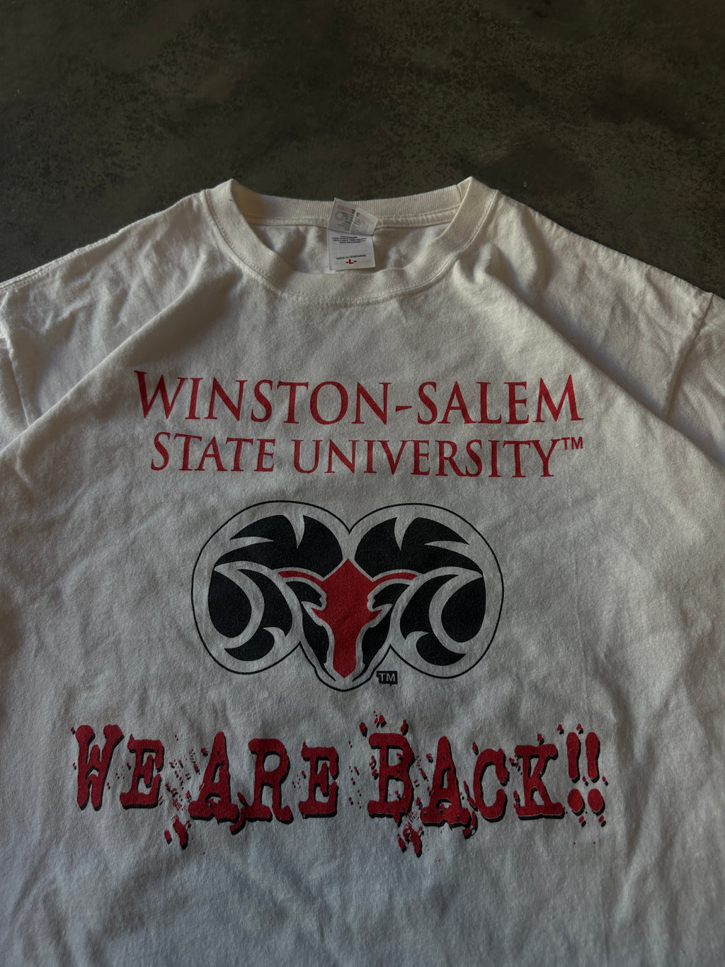 00's Winston-Salem State University WSSU Back 2 Glory Long Sleeve Vintage Shirt (XL)