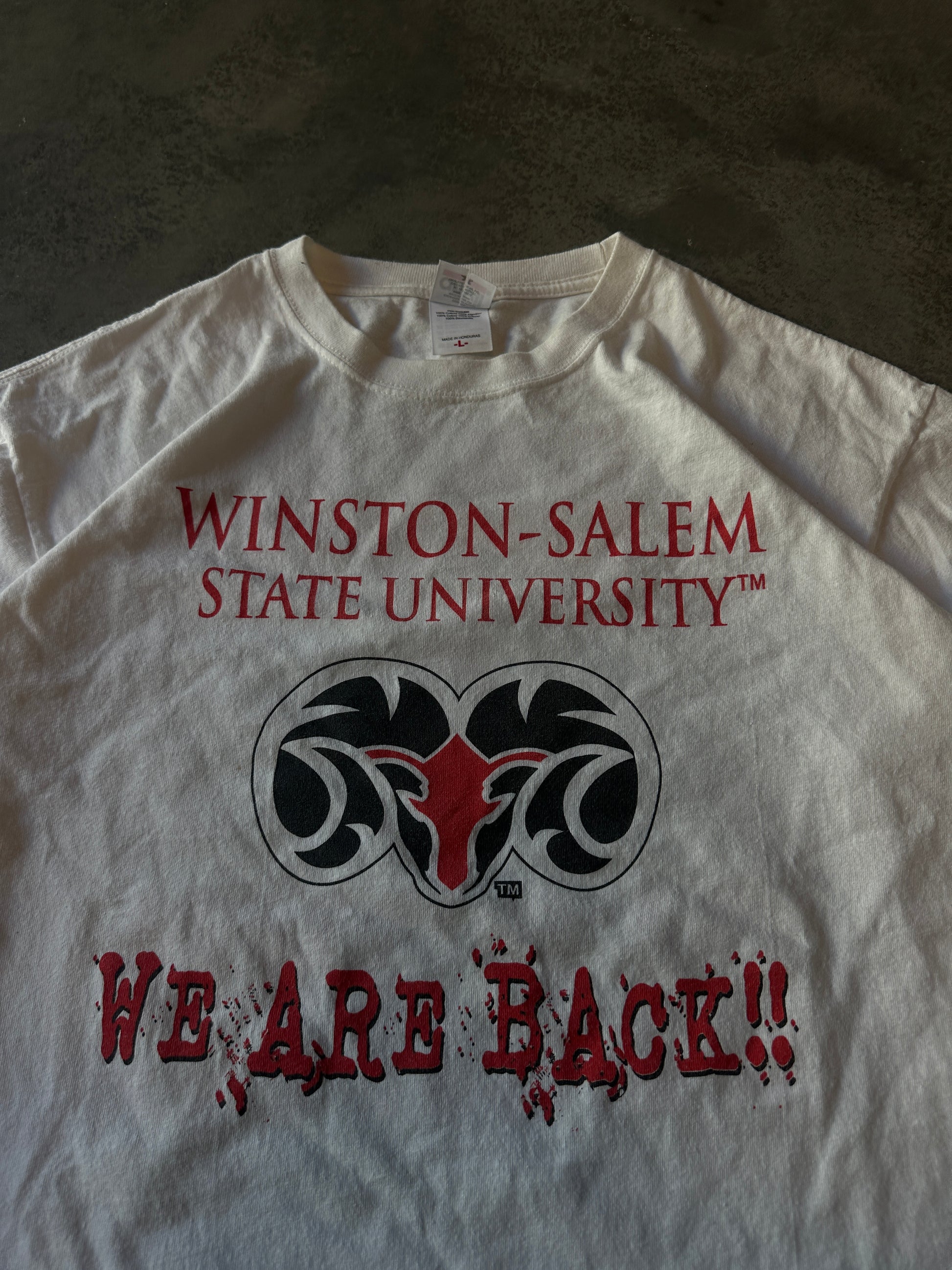 00's Winston-Salem State University WSSU Back 2 Glory Long Sleeve Vintage Shirt (XL)