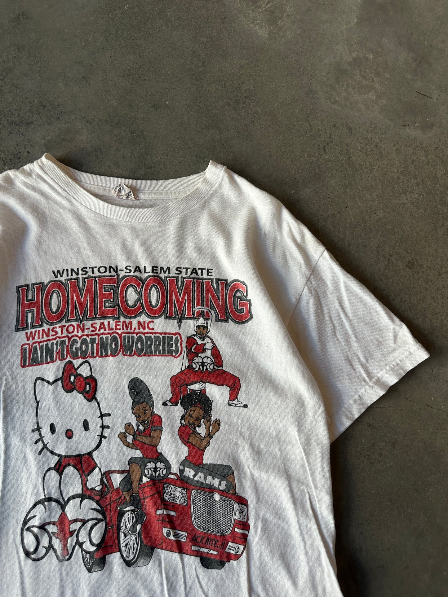 2013 Winston Salem State University WSSU Hello Kitty "Make You Feel Some Type of Way" HBCU Homecoming Tee (Medium)