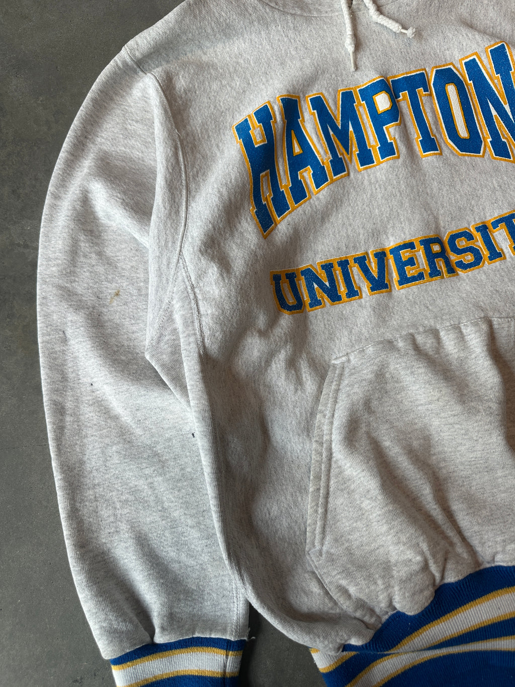 90’s Hampton University Pirates RARE African American College Alliance AACA HBCU Vintage Heavyweight Hoodie (Large)