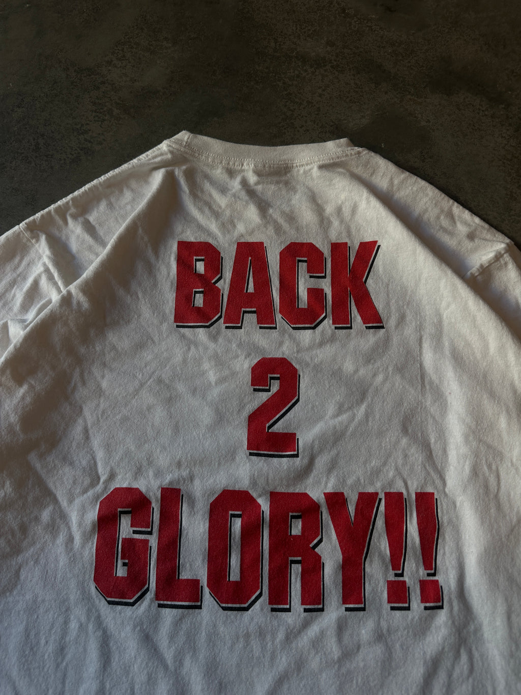 00's Winston-Salem State University WSSU Back 2 Glory Long Sleeve Vintage Shirt (XL)