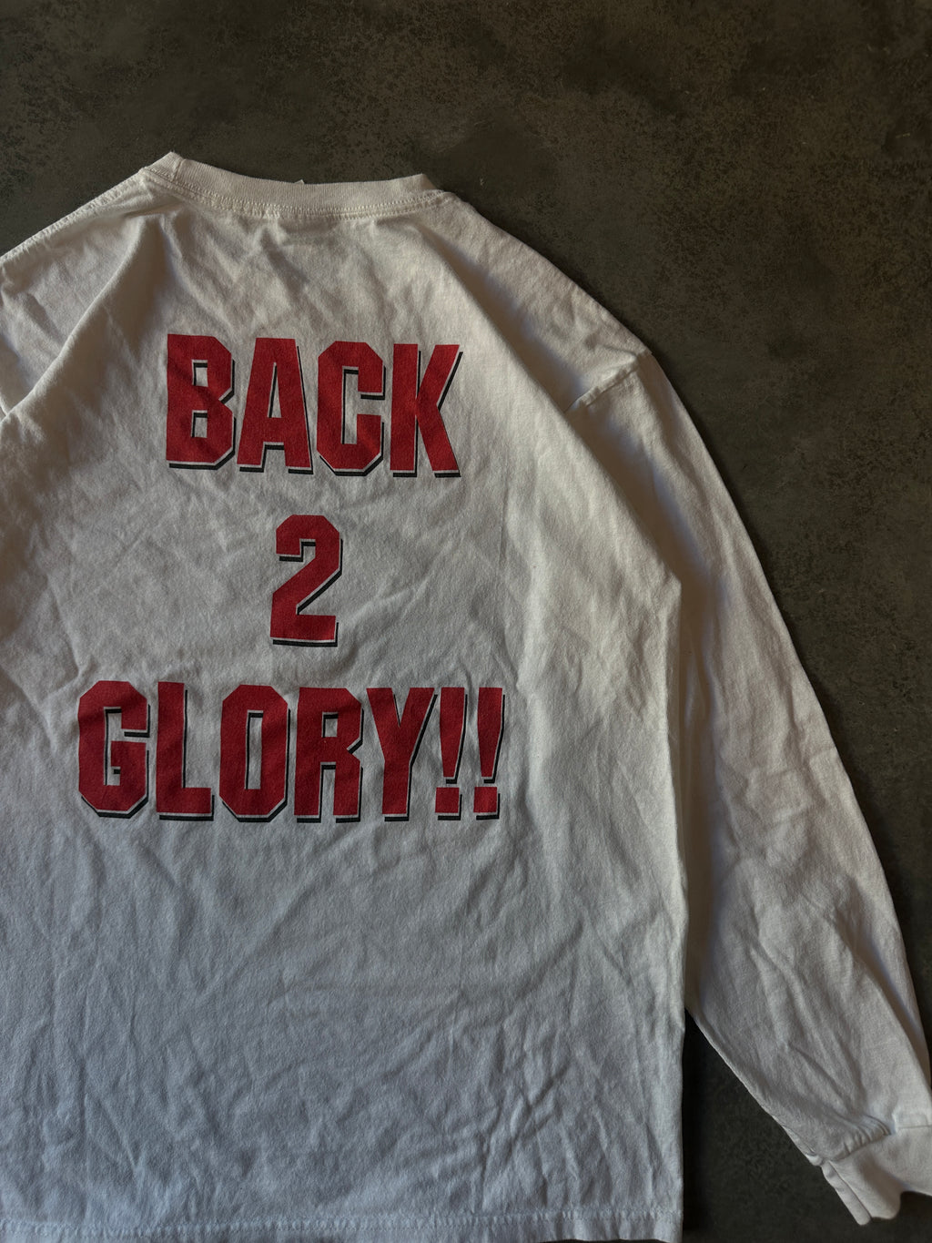 00's Winston-Salem State University WSSU Back 2 Glory Long Sleeve Vintage Shirt (XL)