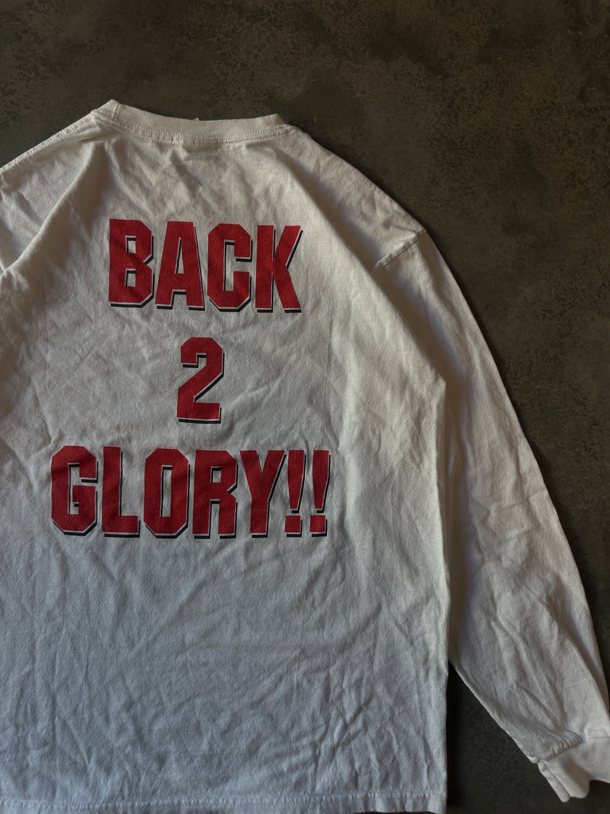 00's Winston-Salem State University WSSU Back 2 Glory Long Sleeve Vintage Shirt (XL)