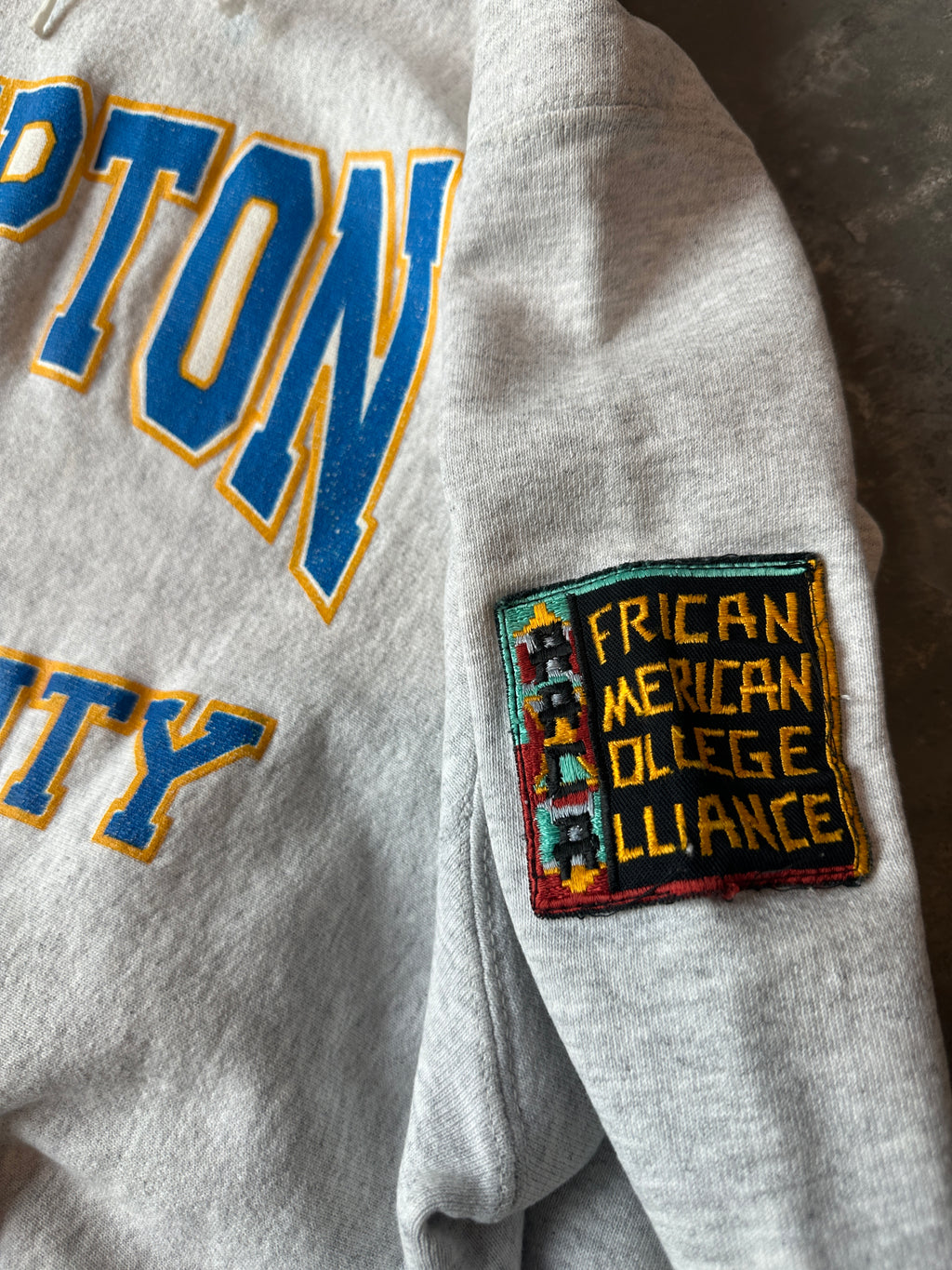 90’s Hampton University Pirates RARE African American College Alliance AACA HBCU Vintage Heavyweight Hoodie (Large)
