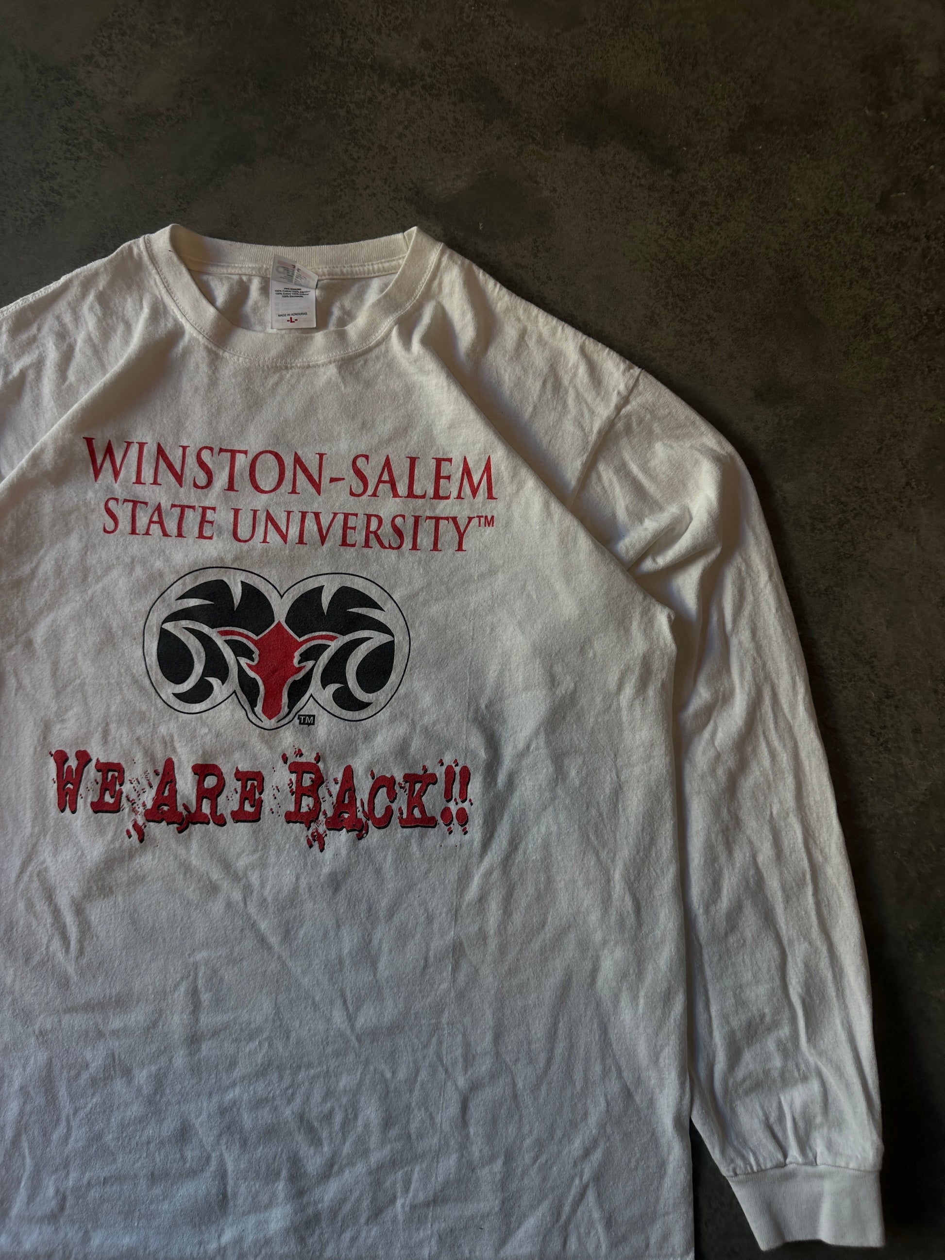 00's Winston-Salem State University WSSU Back 2 Glory Long Sleeve Vintage Shirt (XL)