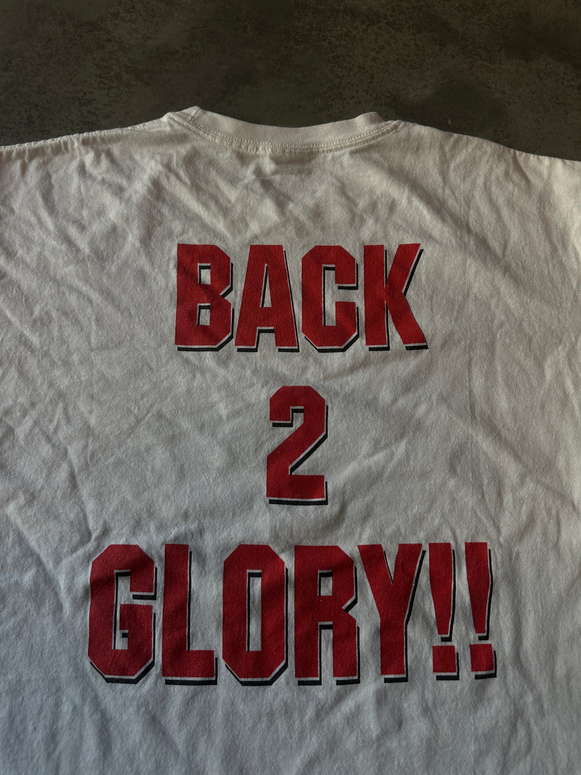 00's Winston-Salem State University WSSU Back 2 Glory Long Sleeve Vintage Shirt (XL)