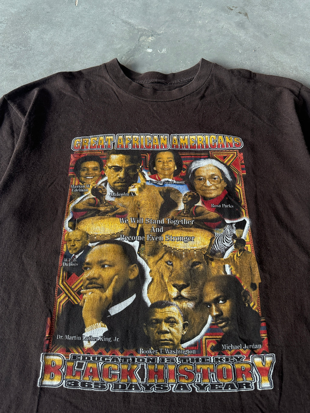 90's Great Africans Americans Black History 365 Days a Year Oprah Michael Jordan MLK Harriet Rosa Parks & More Brown Vintage Tee (XL)