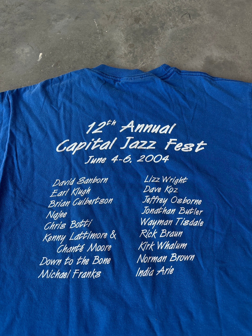 2004 12th Annual Capital Jazz Fest Art & Artist Lineup Vintage Music Tee (Medium)