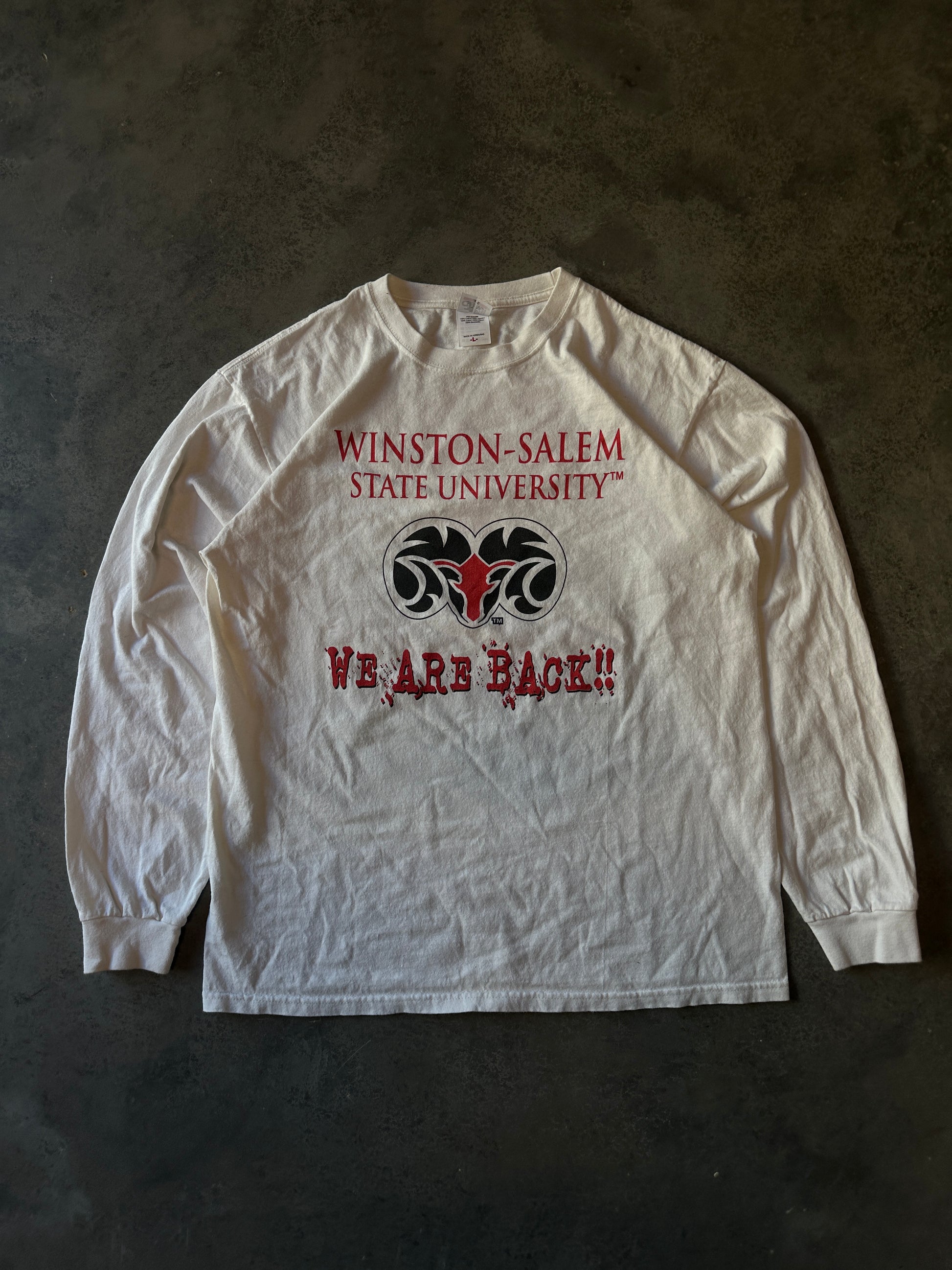 00's Winston-Salem State University WSSU Back 2 Glory Long Sleeve Vintage Shirt (XL)