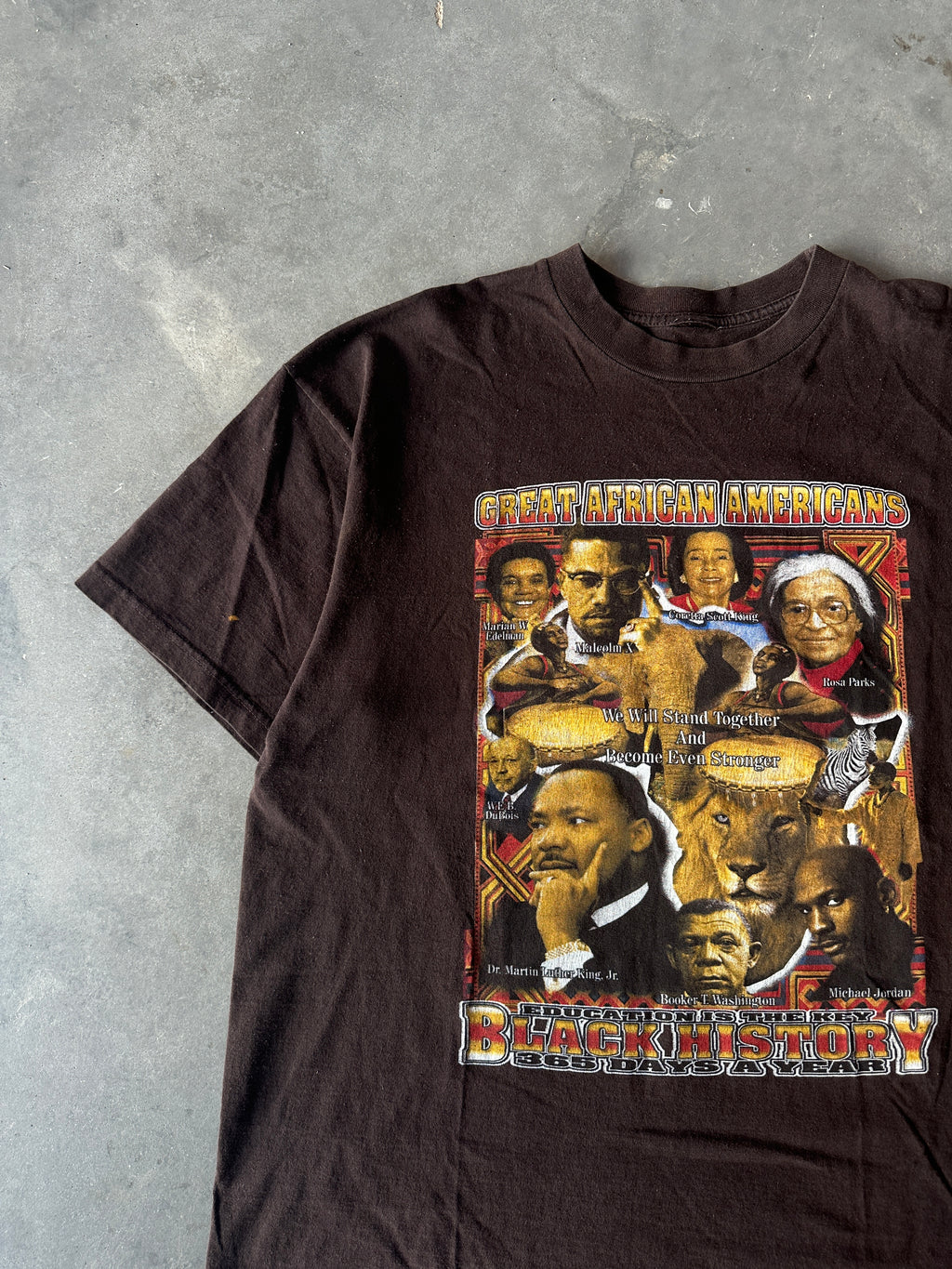 90's Great Africans Americans Black History 365 Days a Year Oprah Michael Jordan MLK Harriet Rosa Parks & More Brown Vintage Tee (XL)