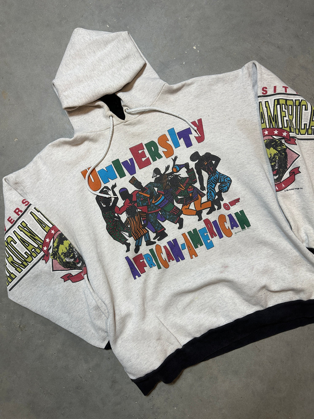 90's University of African American UAA HBCU's Across the USA Vintage Heavyweight Hoodie (Large)