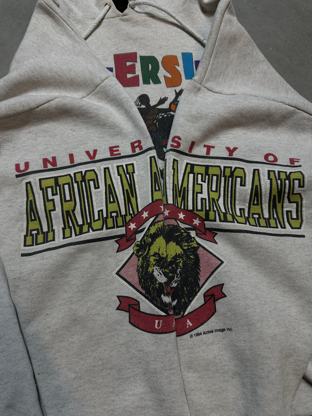 90's University of African American UAA HBCU's Across the USA Vintage Heavyweight Hoodie (Large)
