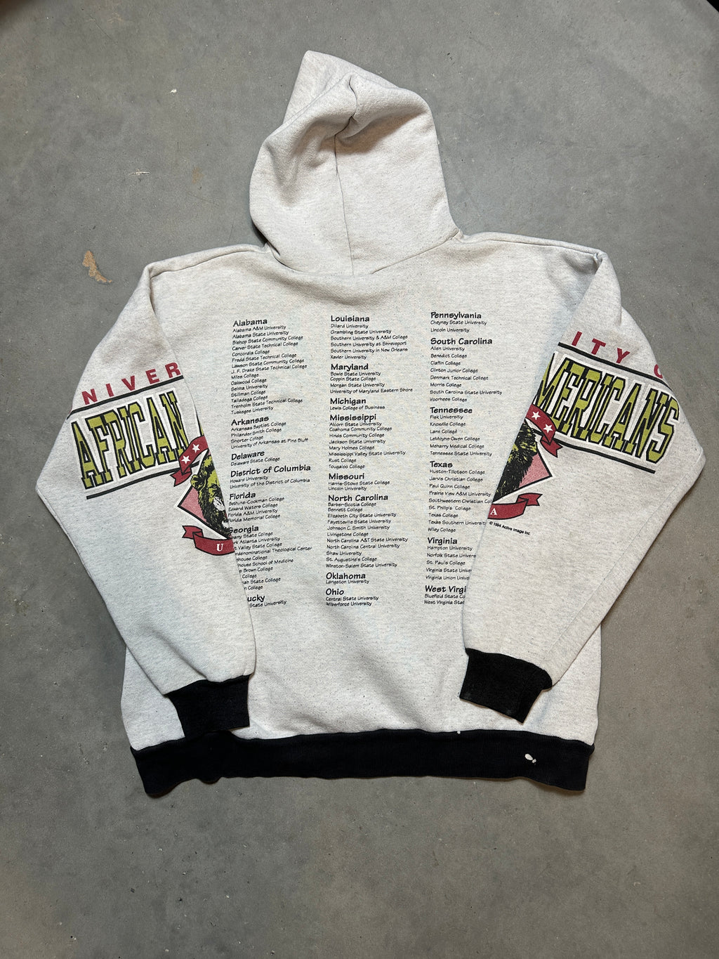 90's University of African American UAA HBCU's Across the USA Vintage Heavyweight Hoodie (Large)