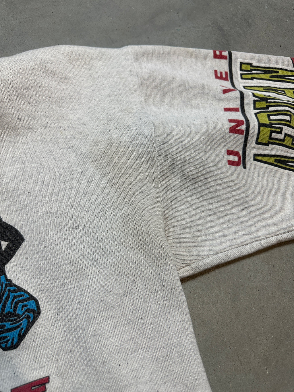 90's University of African American UAA HBCU's Across the USA Vintage Heavyweight Hoodie (Large)