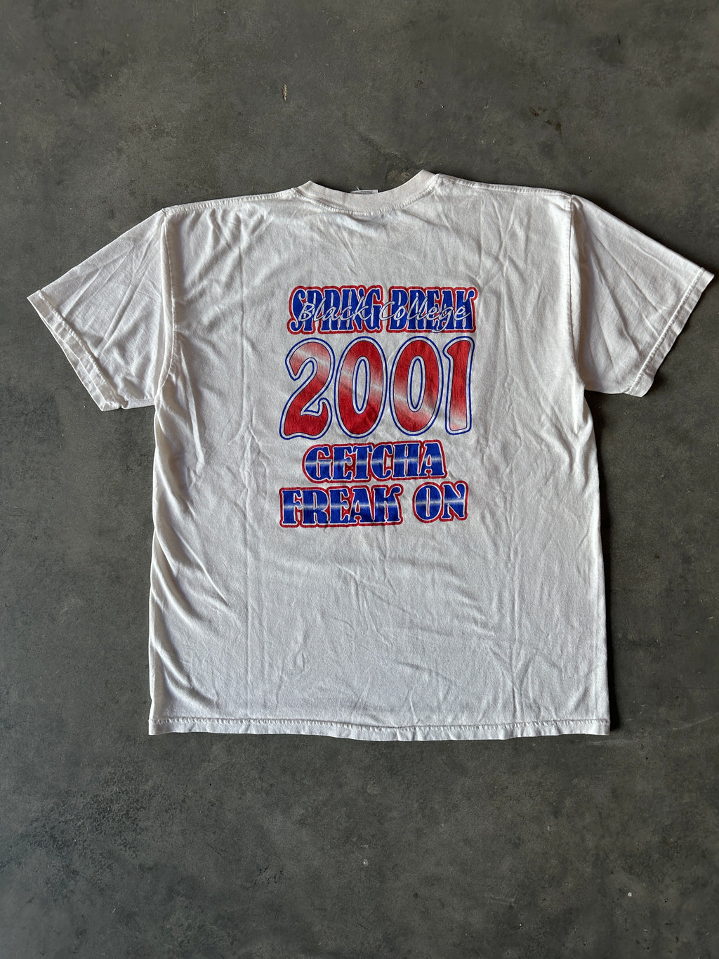 2001 Black Beach Party Get Crunked Up Black College Spring Break Get Your Freak On! Caricature Vintage Tee (XL)