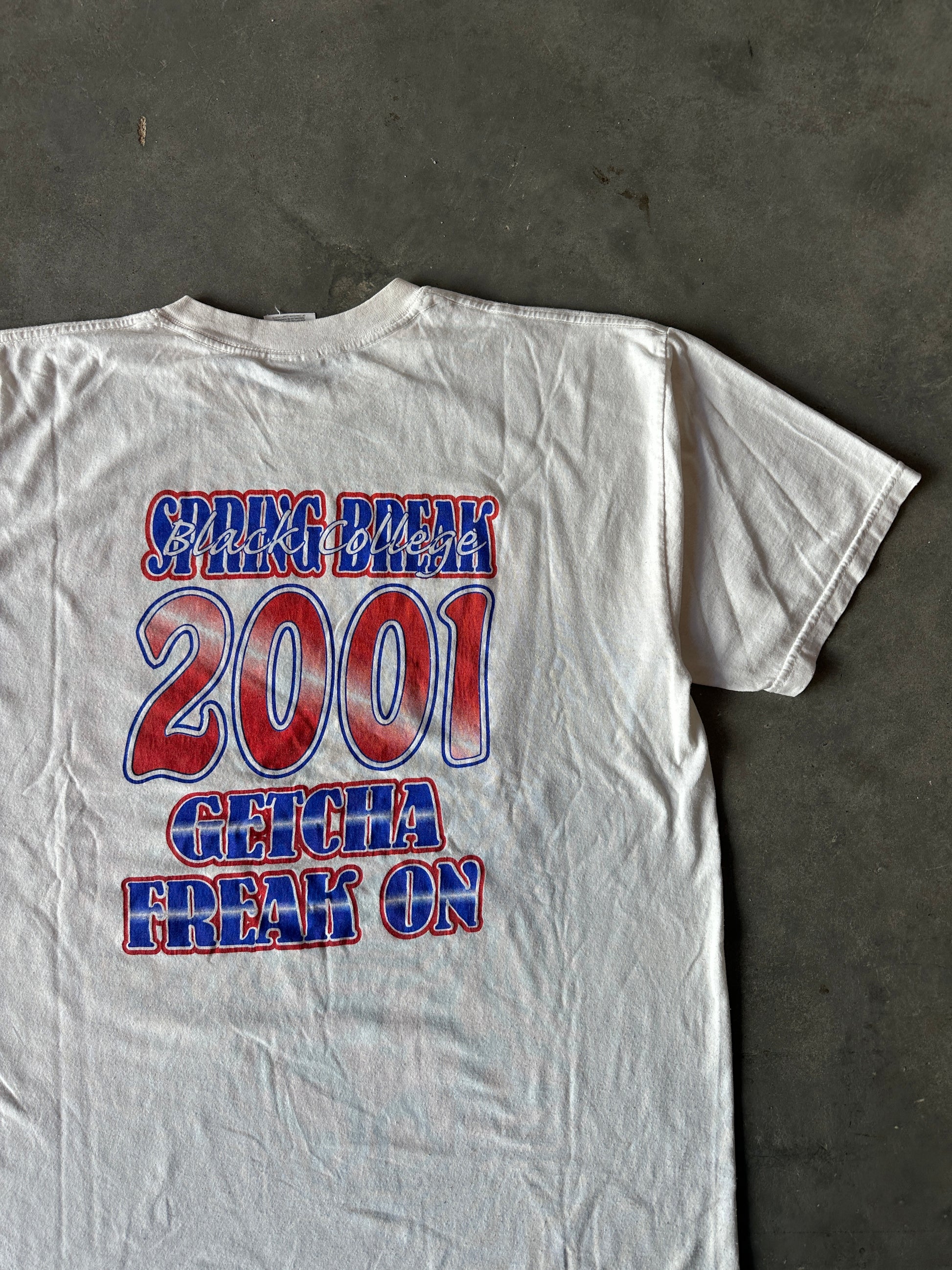 2001 Black Beach Party Get Crunked Up Black College Spring Break Get Your Freak On! Caricature Vintage Tee (XL)