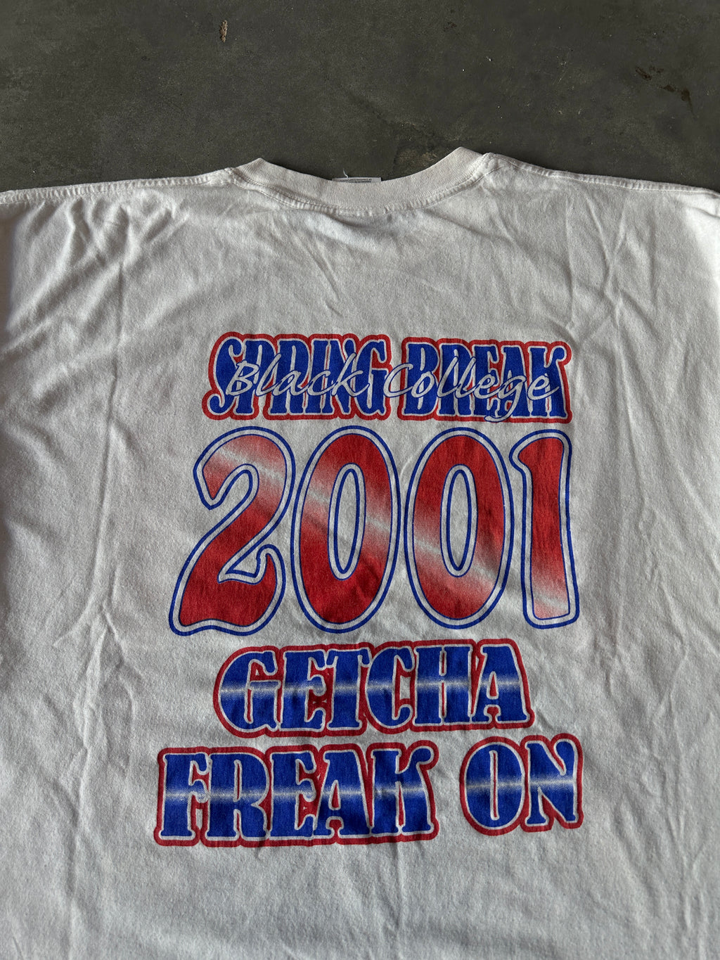 2001 Black Beach Party Get Crunked Up Black College Spring Break Get Your Freak On! Caricature Vintage Tee (XL)