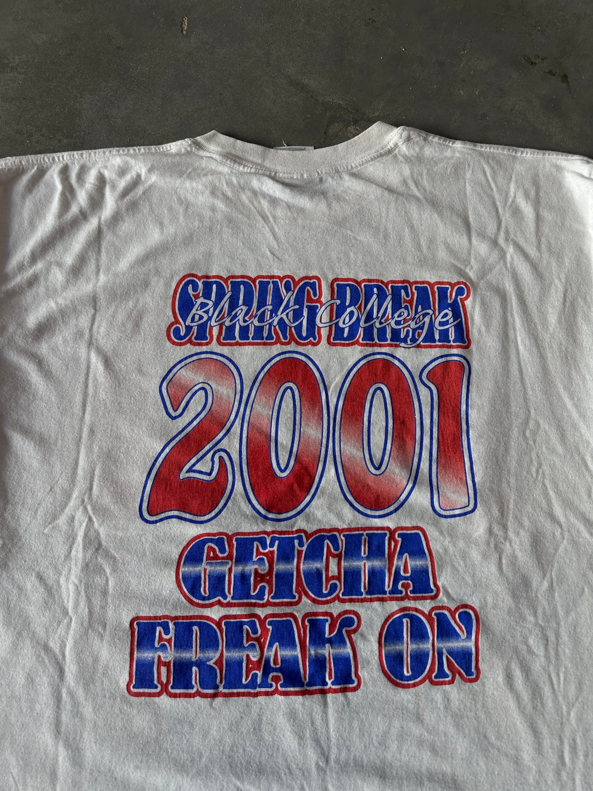 2001 Black Beach Party Get Crunked Up Black College Spring Break Get Your Freak On! Caricature Vintage Tee (XL)