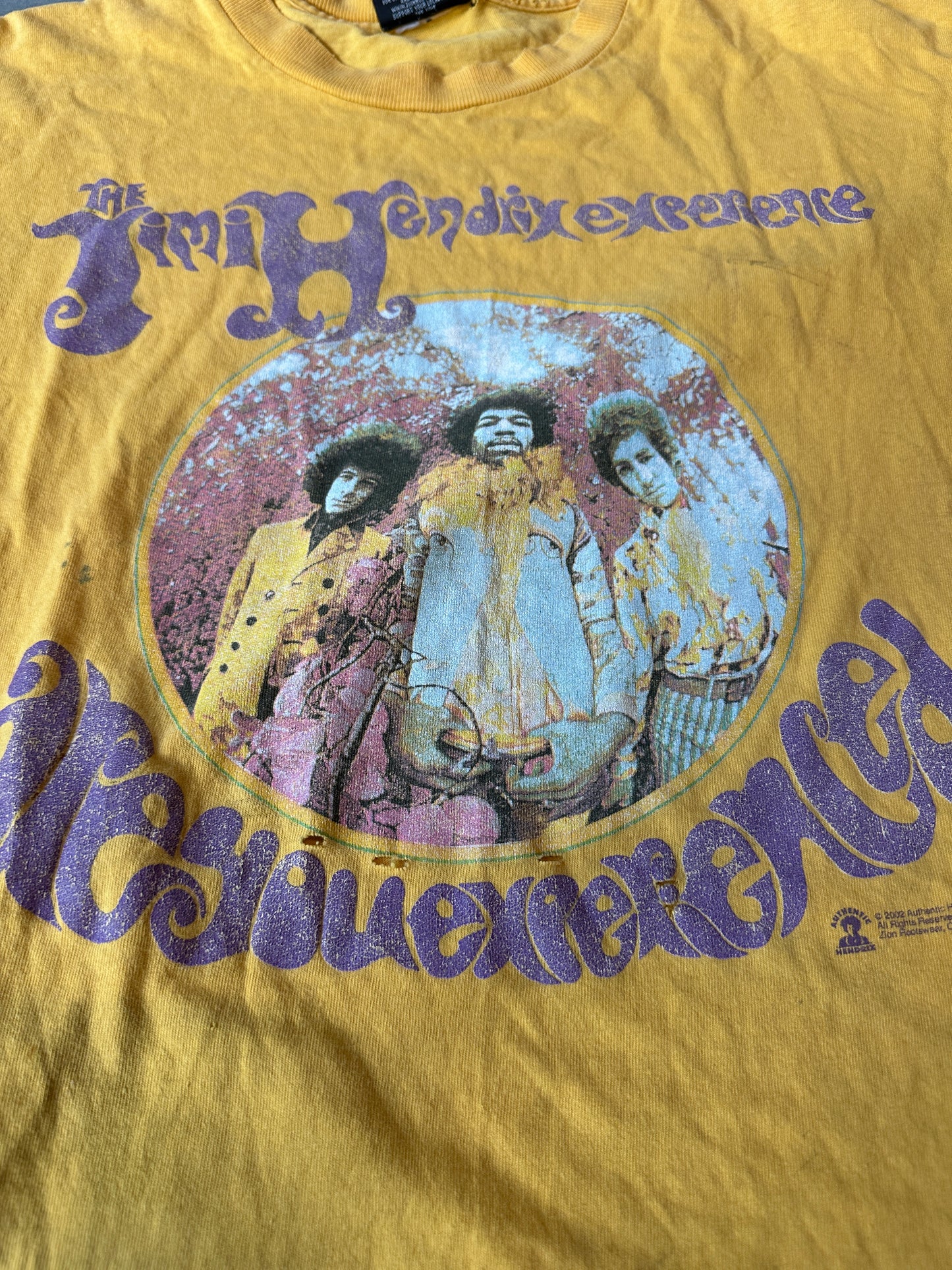 2002 The Jimi Hendrix Experience Heavily Distressed Zion Rootswear Faded Vintage Music Tee (Large)