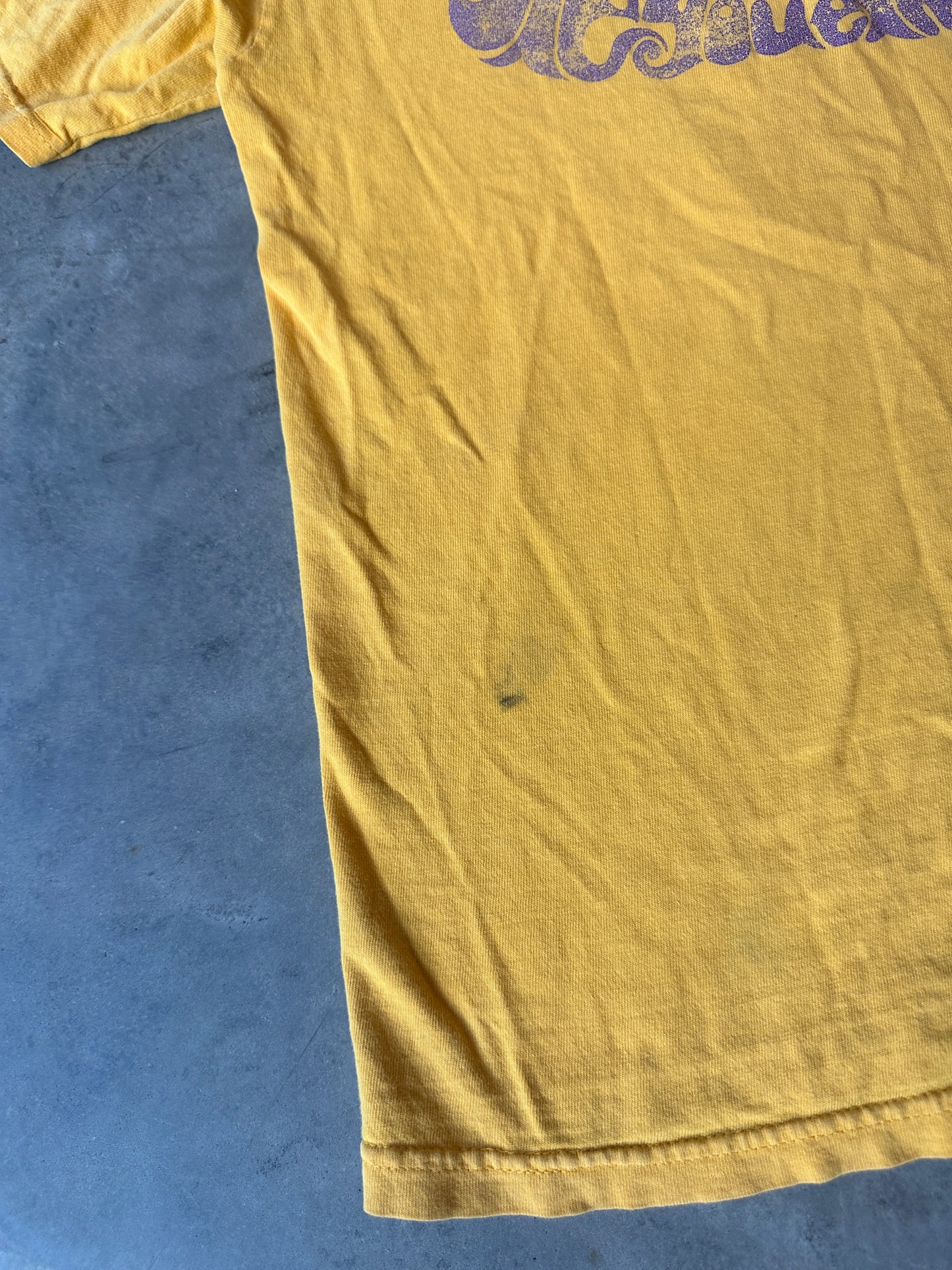 2002 The Jimi Hendrix Experience Heavily Distressed Zion Rootswear Faded Vintage Music Tee (Large)