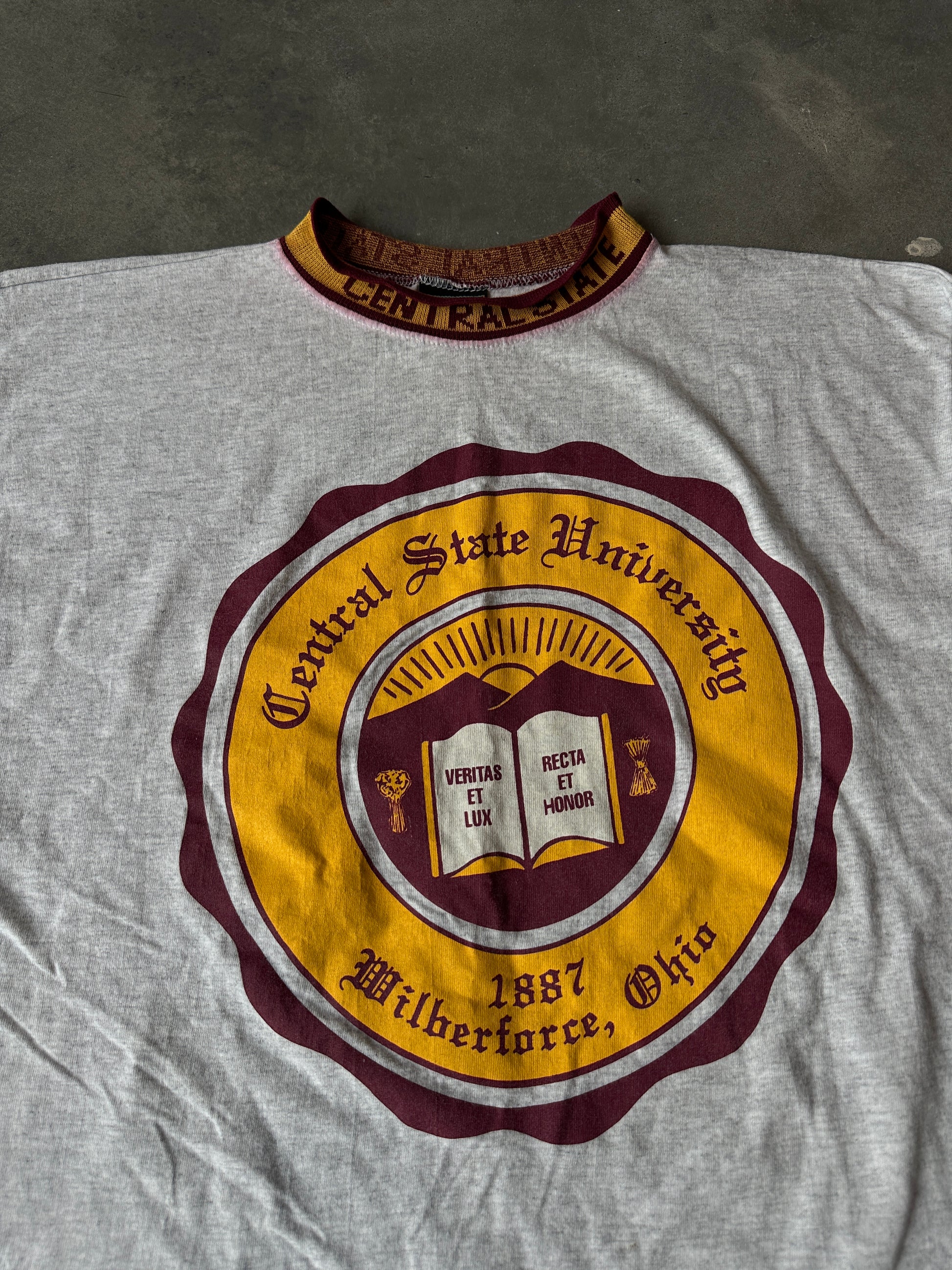 90’s Central State University African American College Alliance AACA Ribbed Vintage Collegiate Seal Tee (XL)