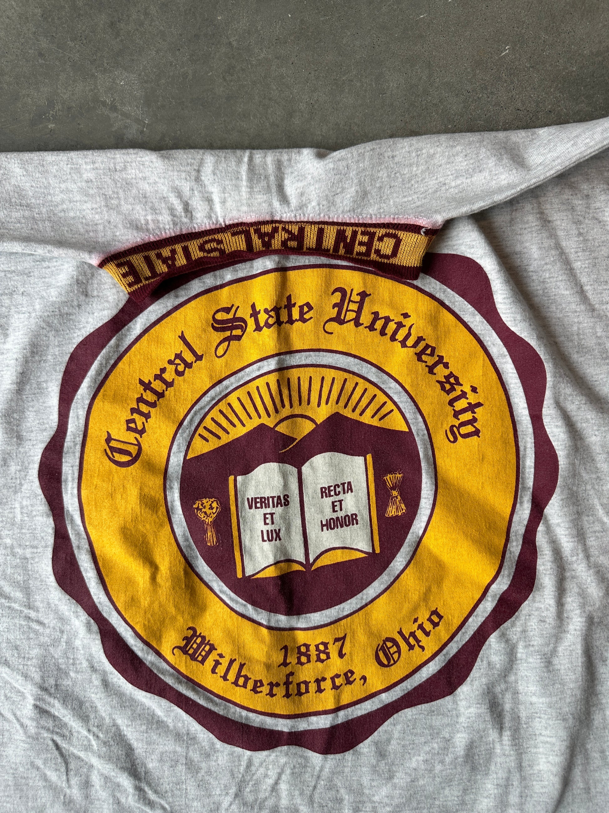 90’s Central State University African American College Alliance AACA Ribbed Vintage Collegiate Seal Tee (XL)