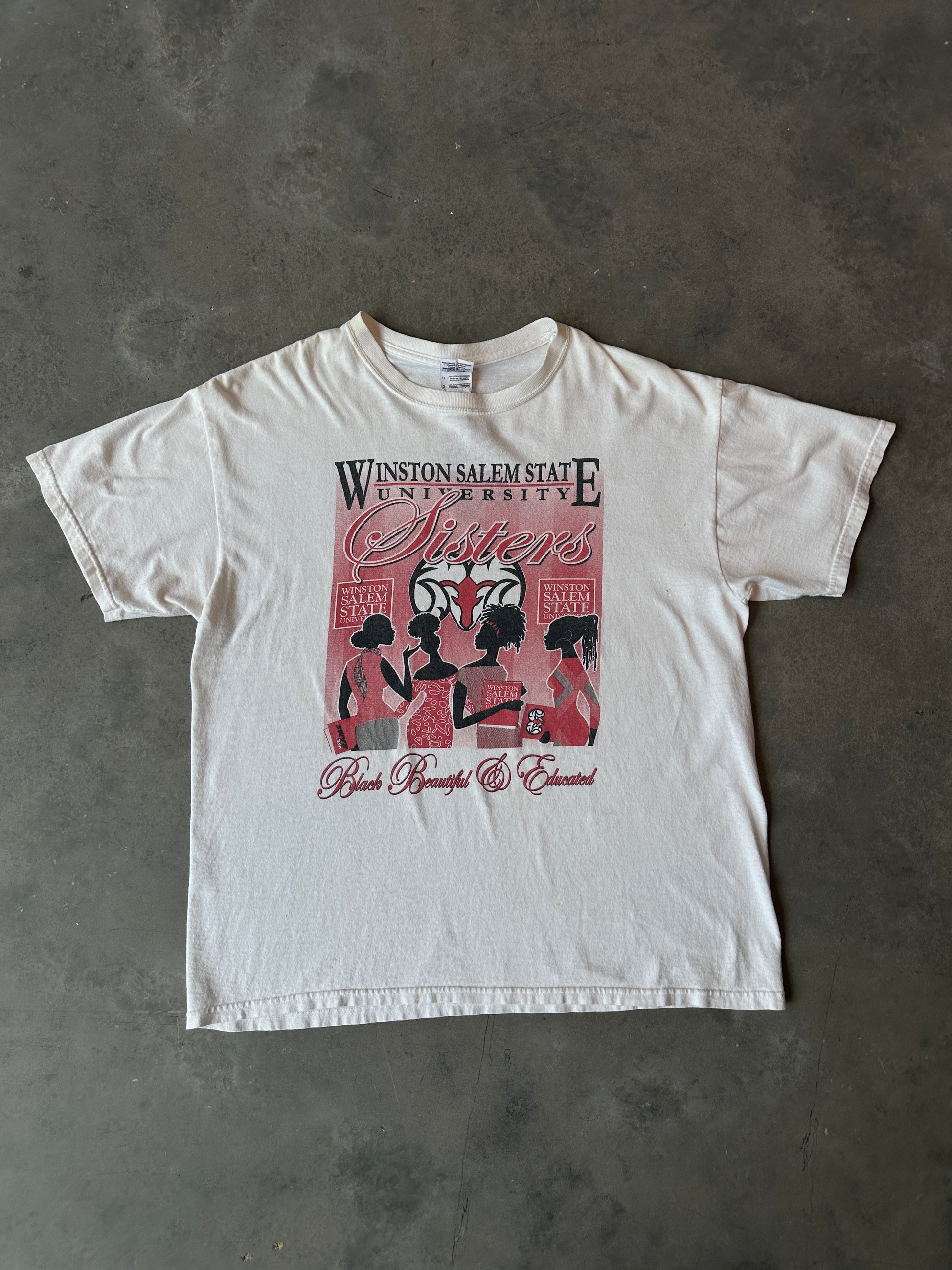 00’s Winston Salem State University WSSU Rams “Black Beautiful & Educated” Sisters with Class Vintage HBCU Tee (Large)