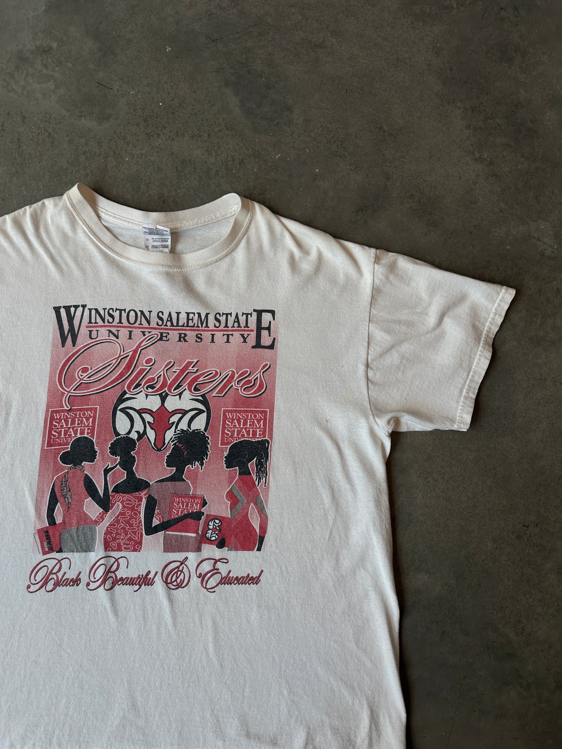 00’s Winston Salem State University WSSU Rams “Black Beautiful & Educated” Sisters with Class Vintage HBCU Tee (Large)