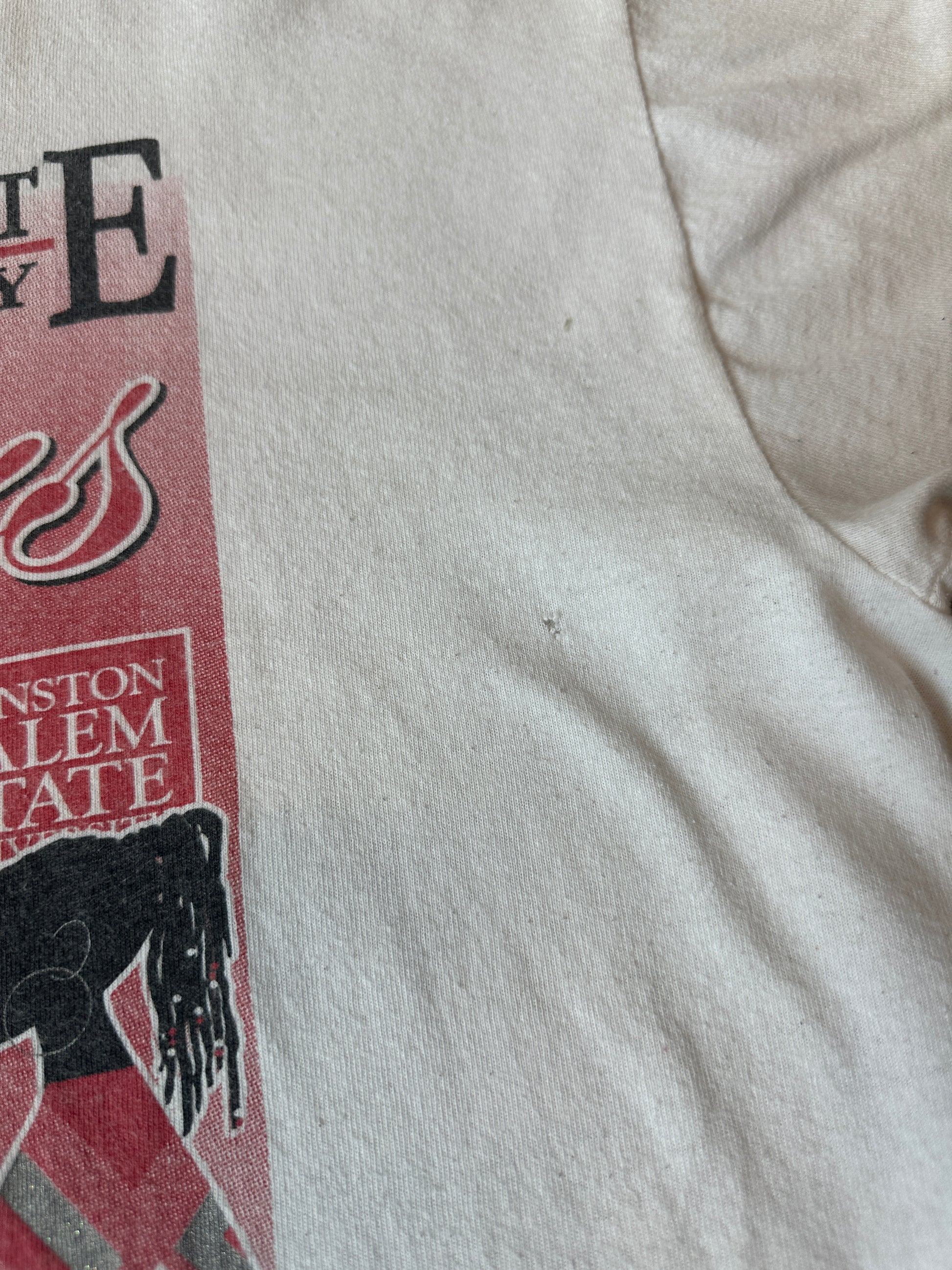 00’s Winston Salem State University WSSU Rams “Black Beautiful & Educated” Sisters with Class Vintage HBCU Tee (Large)